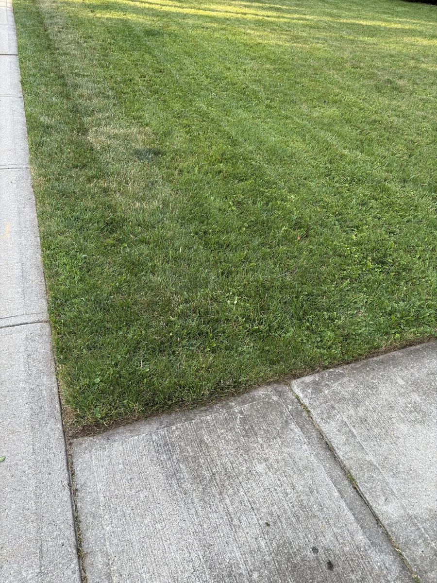 Crisp lawn edge along the sidewalk